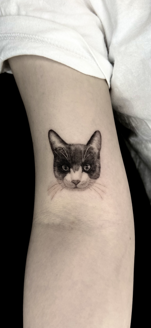Fine line micro-realism cat portrait